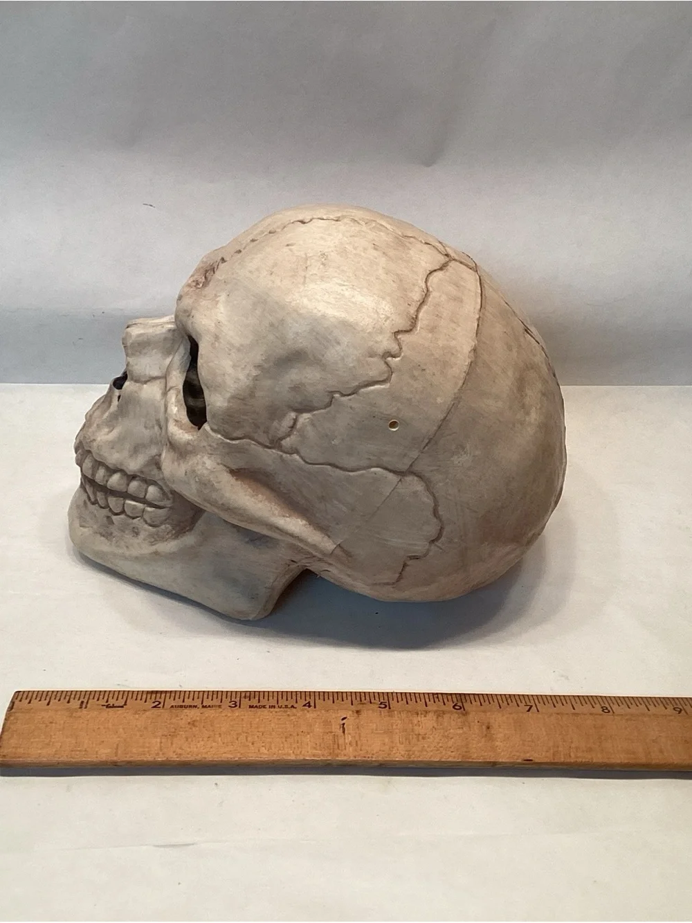 Realistic Skull Blow Mold Halloween Decor Scary Skeleton Creepy Decoration